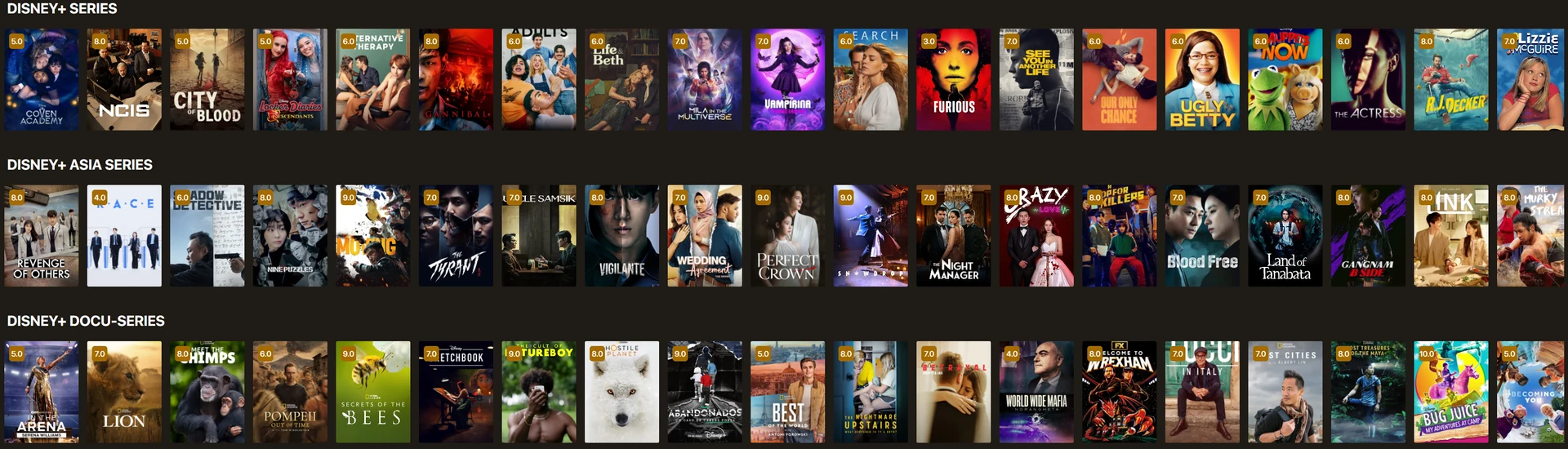 Desktop 8K player movie and series library screenshot